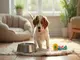welpentraining-fuer-jagdhunde-so-gelingt-der-start-ins-gemeinsame-leben